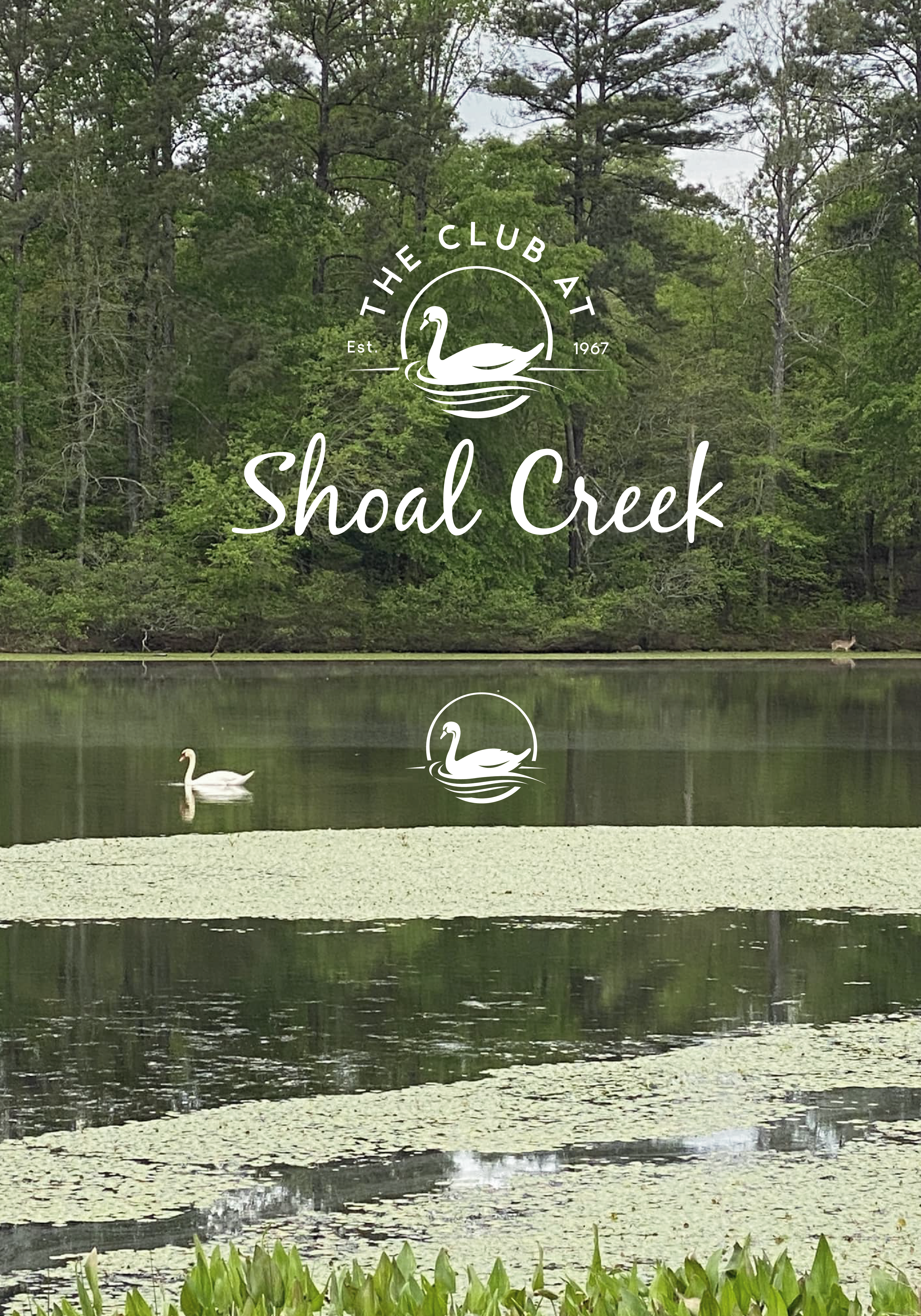 Logo Design by TDAC for this project | Design #31643402