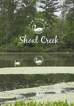 Logo Design by TDAC for this project | Design: #31643402