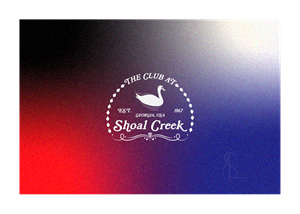Logo Design by SA Raza008 for this project | Design: #31570840