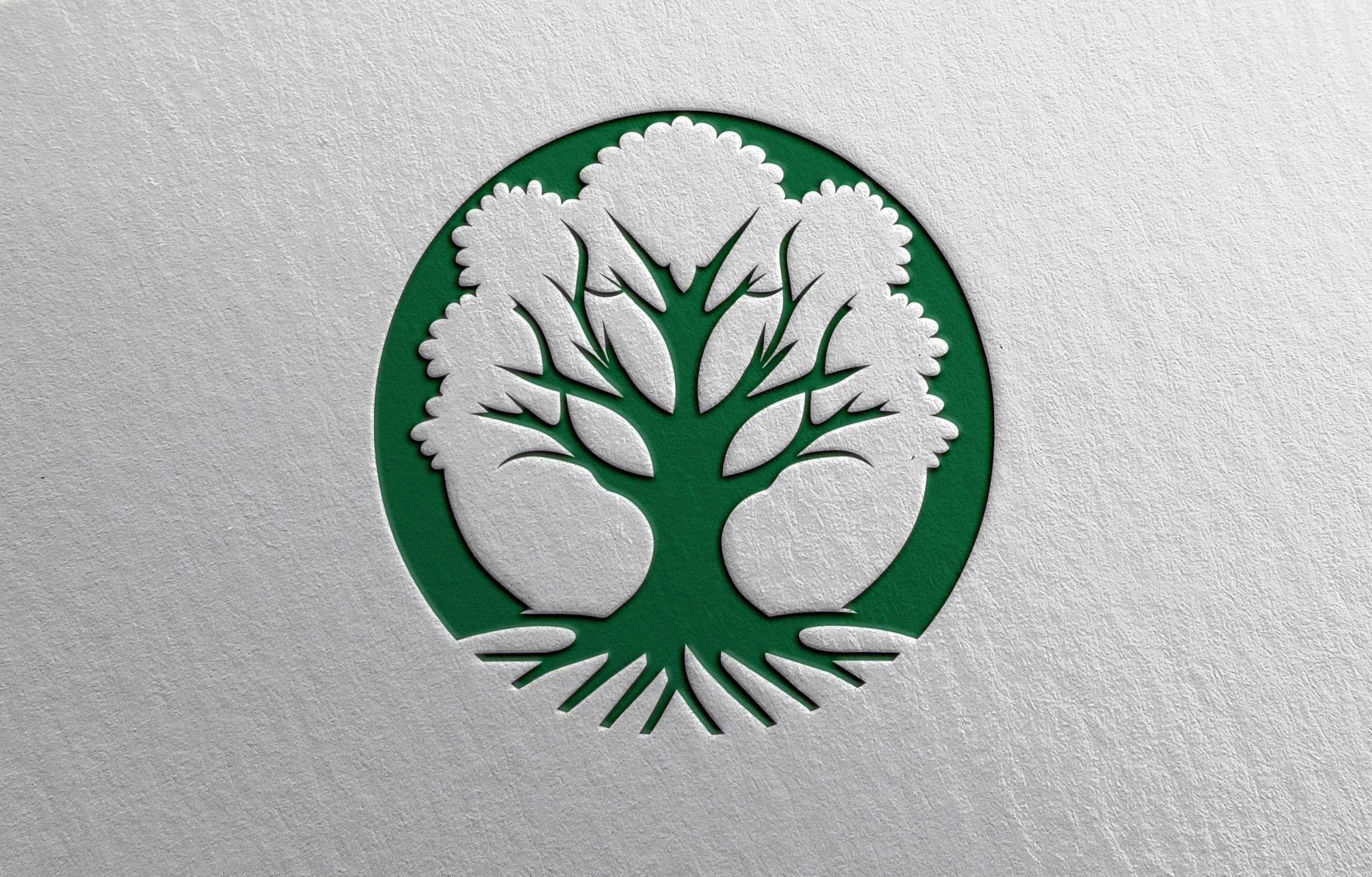 Logo Design by acbvision for this project | Design #31122890