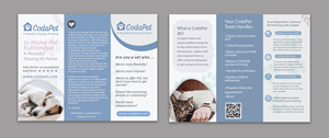 Flyer Design by chandrayaan.creative for this project | Design: #31079884