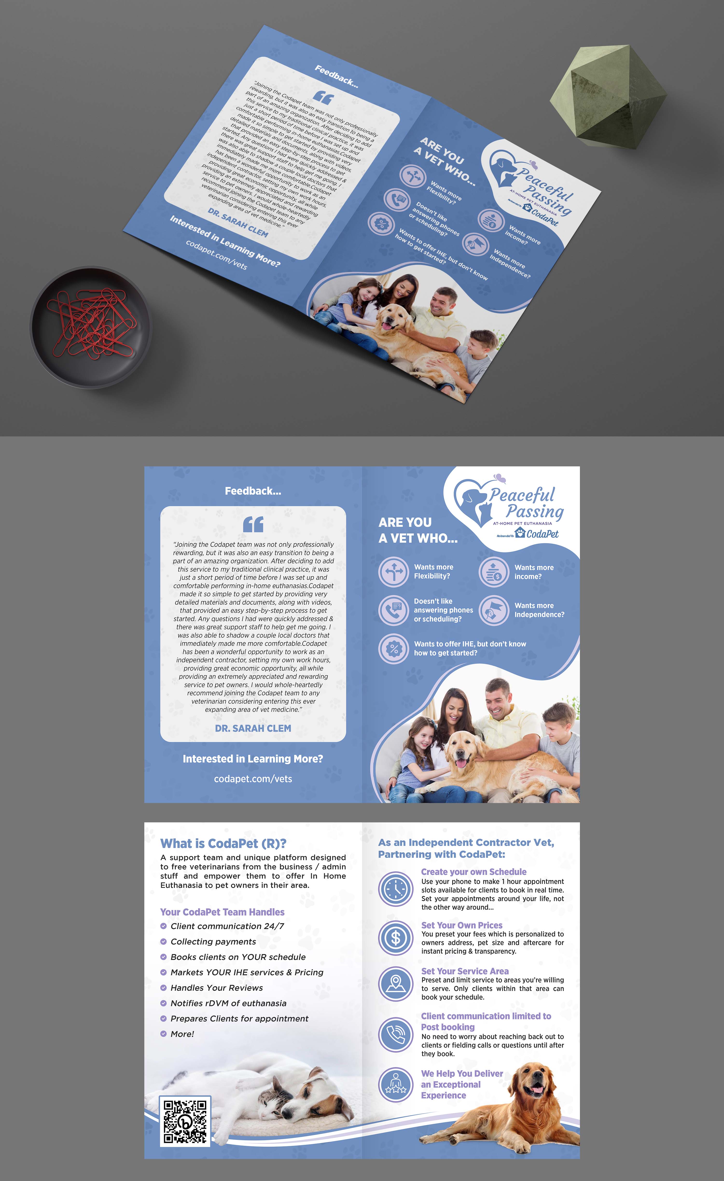Design de Flyer par GraphicsGuru pour ce projet | Design #31145100
