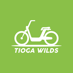 Logo Design by Lady Jane