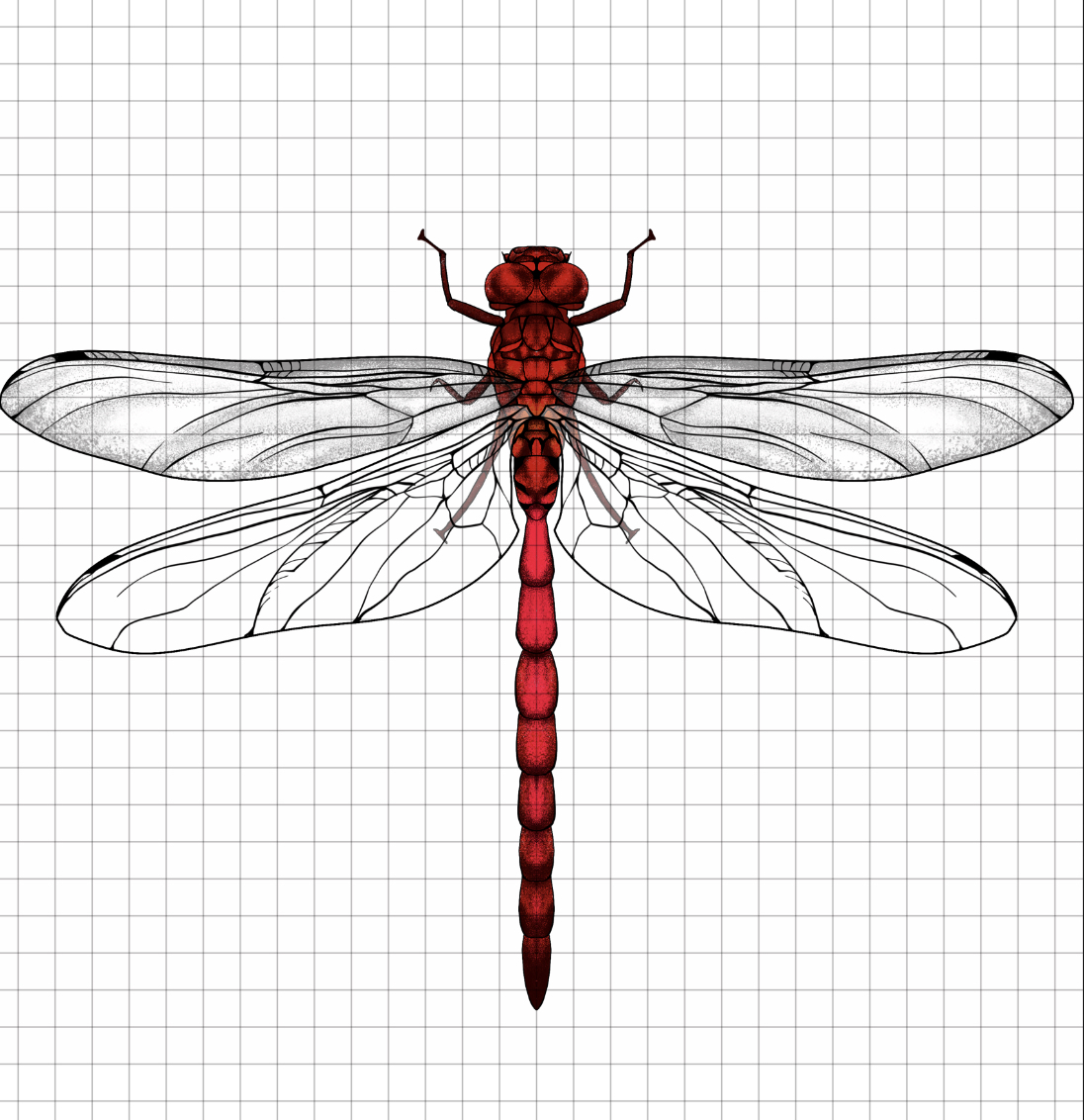 Tattoo Design by bangkat for this project | Design #31081630