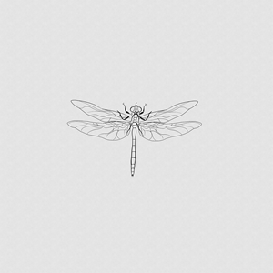 Tattoo-Design von MissDTattooDesigns für dieses Projekt | Design #31094336