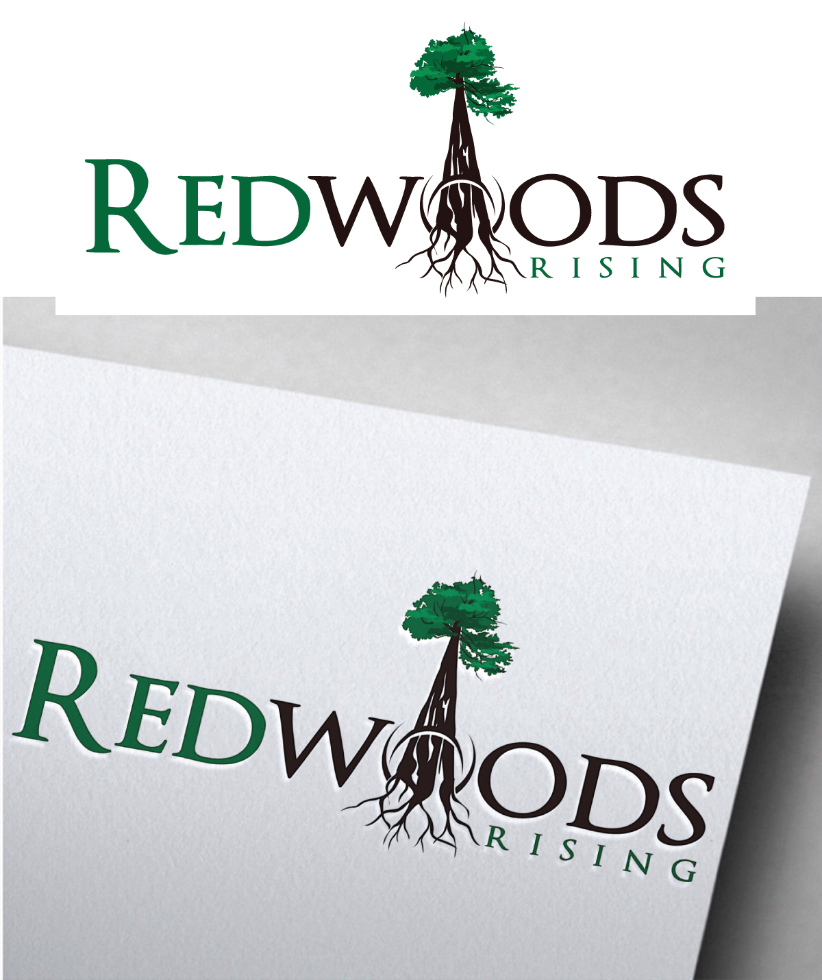 Logo Design by Om Namah Shivay for this project | Design #31106430