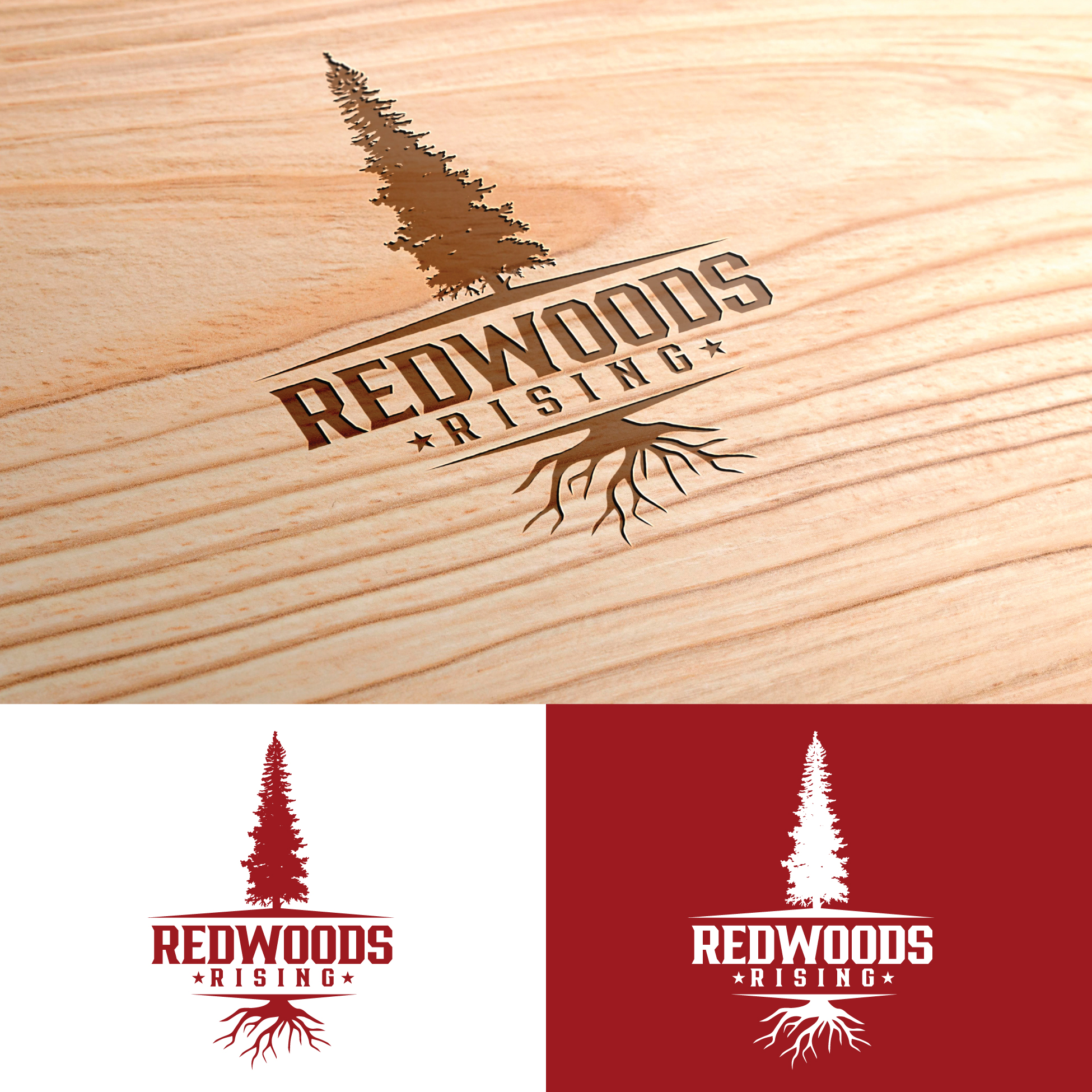 Diseño de Logo por StromDesignHub para este proyecto | Diseño #31094889
