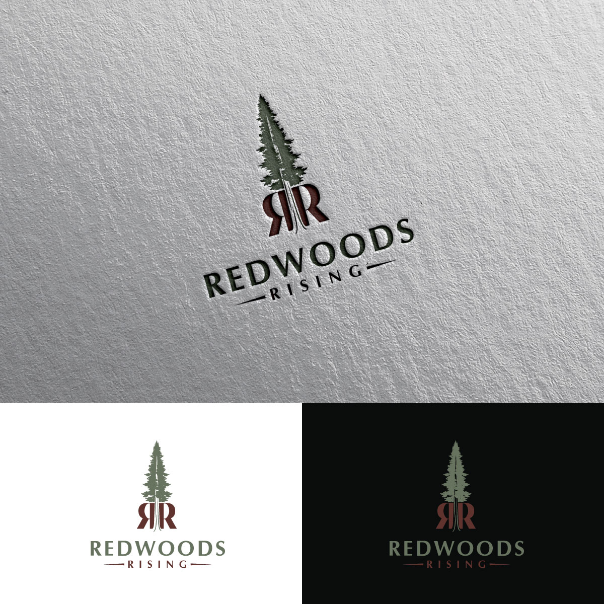 Logo Design by chris Ray for this project | Design #31085966
