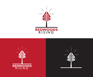 Logo Design by Ansh Design for this project | Design: #31088911