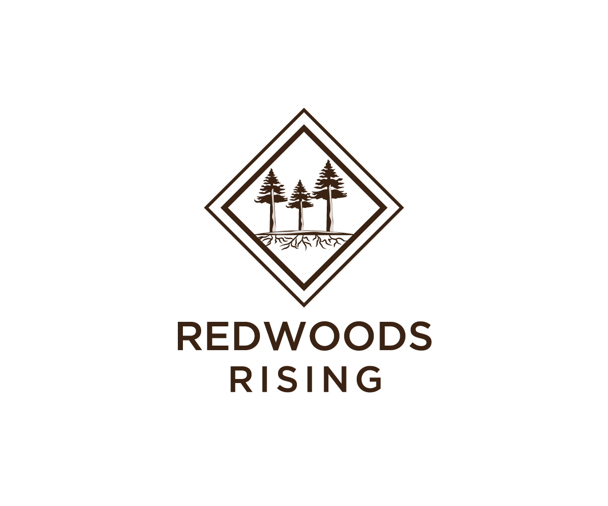 Logo-Design von Ansh Design für dieses Projekt | Design #31088912