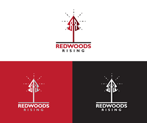 Logo-Design von Ansh Design für dieses Projekt | Design: #31095087