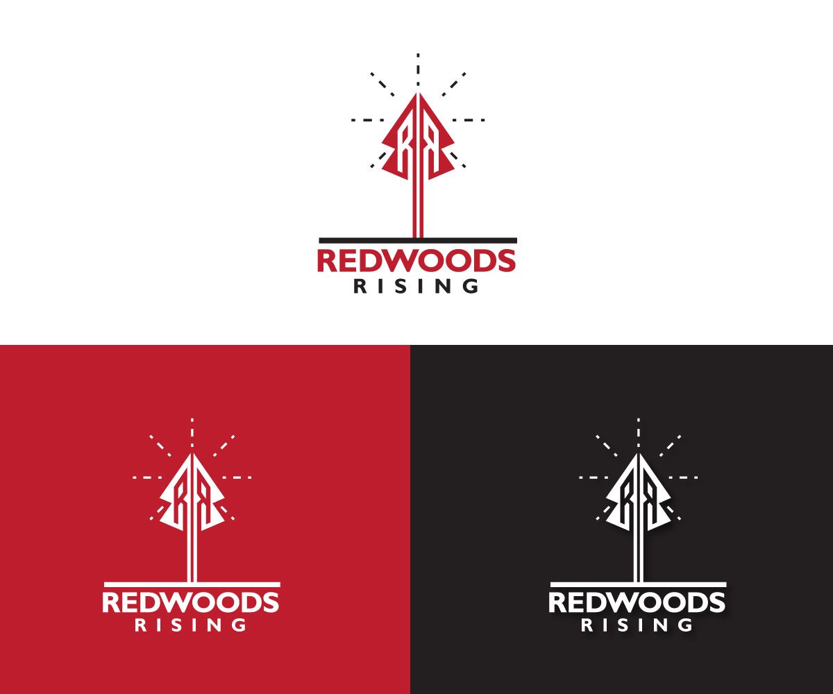 Logo-Design von Ansh Design für dieses Projekt | Design #31095088