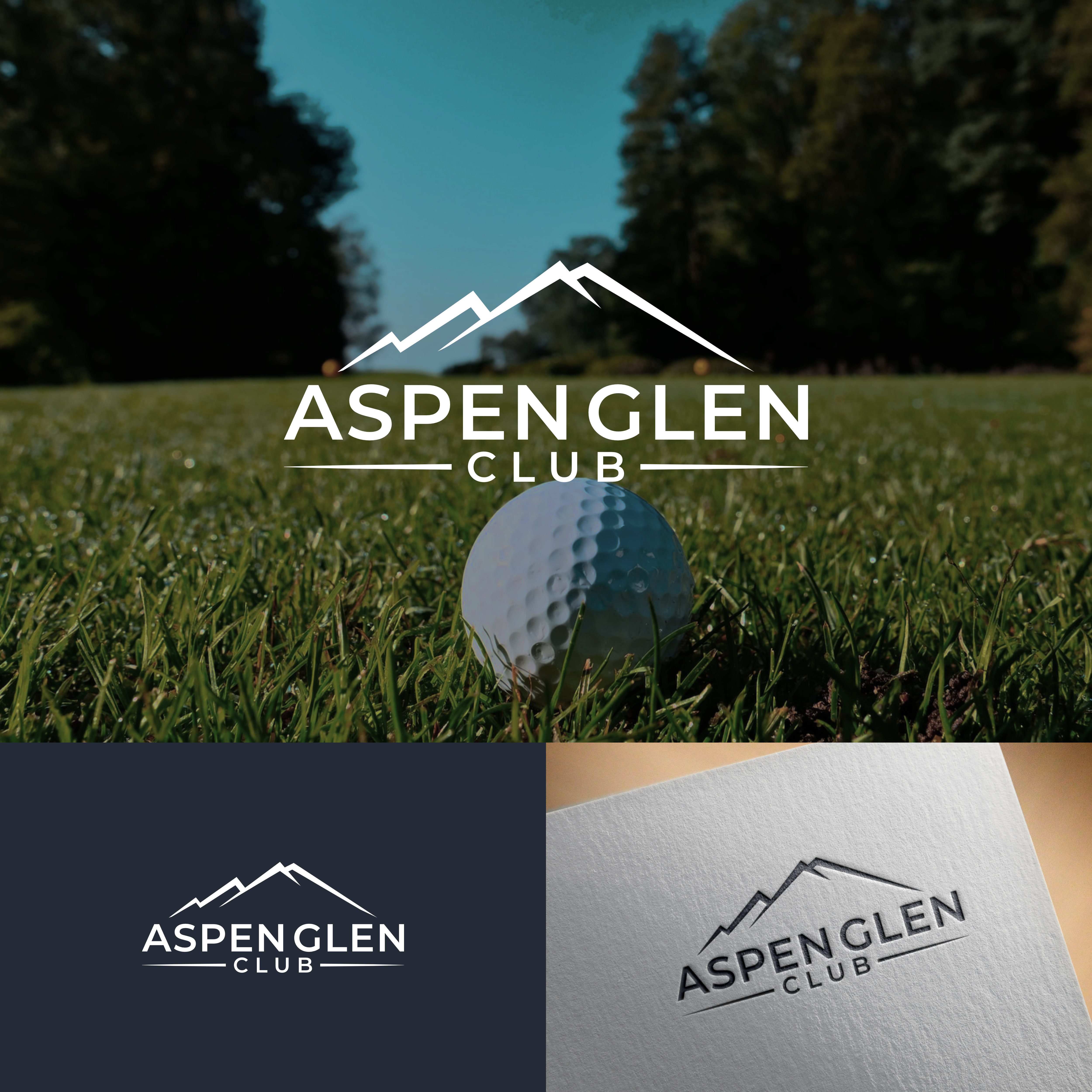 Logo-Design von FerouFYN für dieses Projekt | Design #31123780