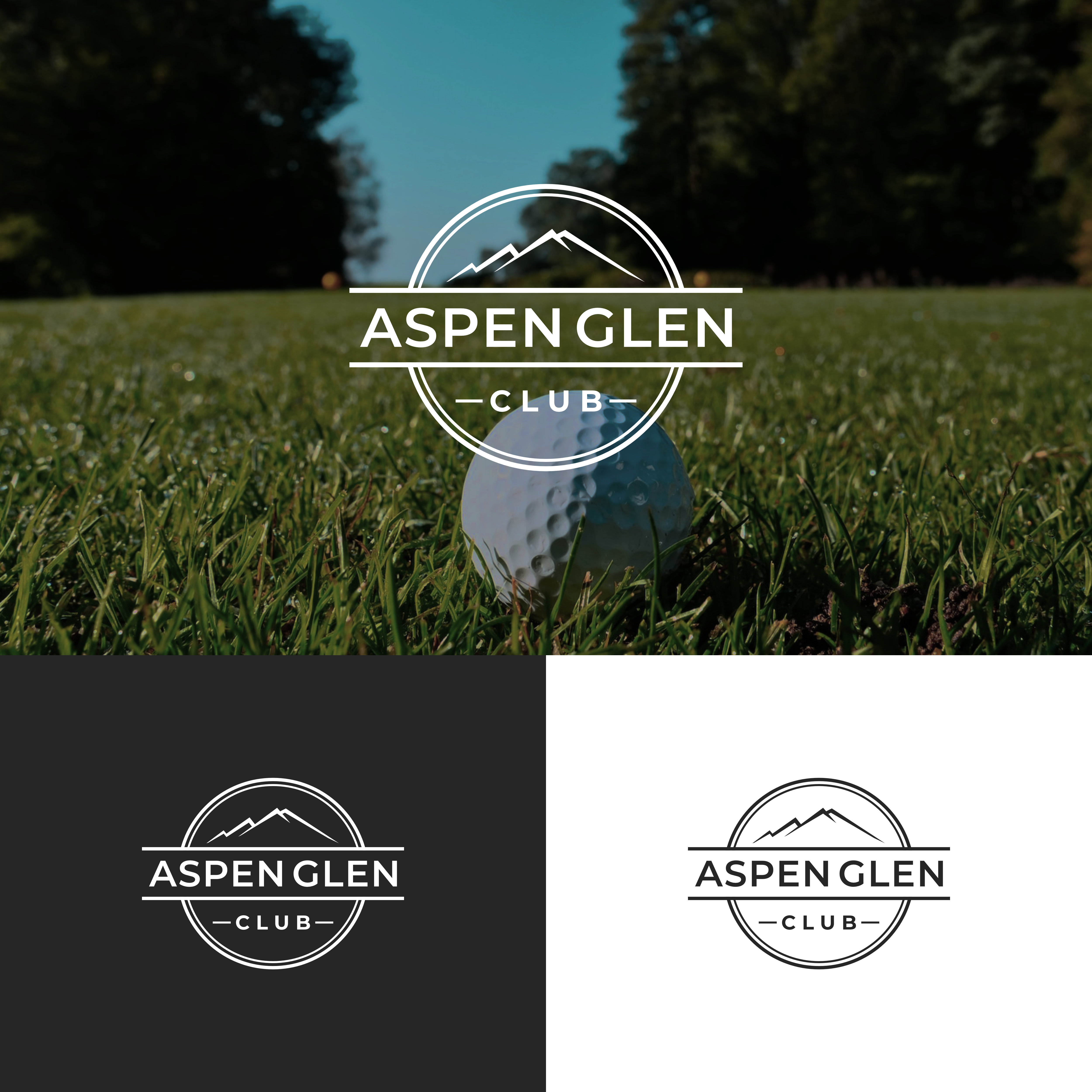 Design de Logo par equifalenn pour ce projet | Design #31129023