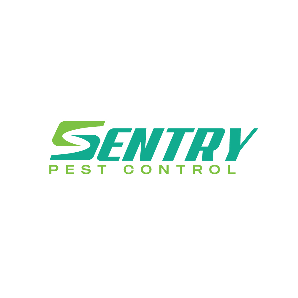 Logo Design by YourLogoMaster for this project | Design #31089684