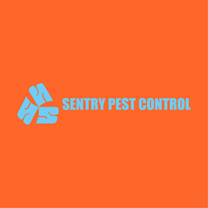 Logo Design by zizamu