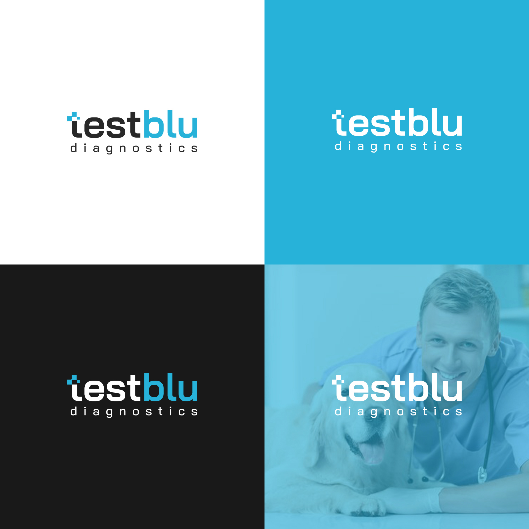 Diseño de Logo por ibart para este proyecto | Diseño #31122576