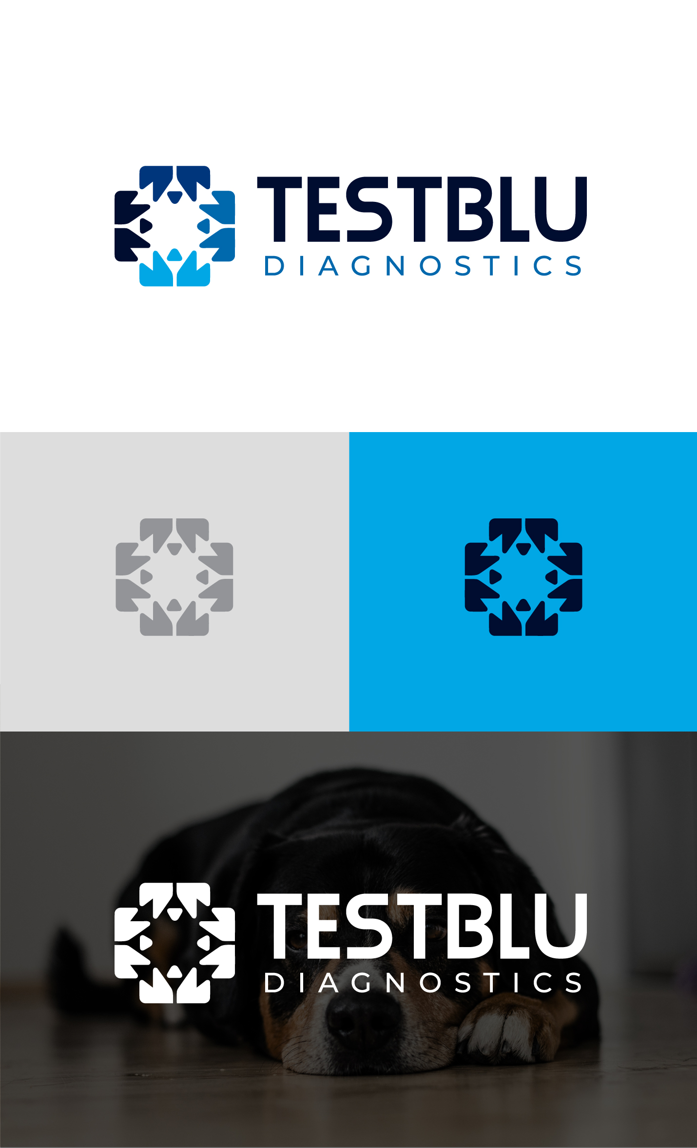 Logo Design by ICKE for this project | Design #31094735