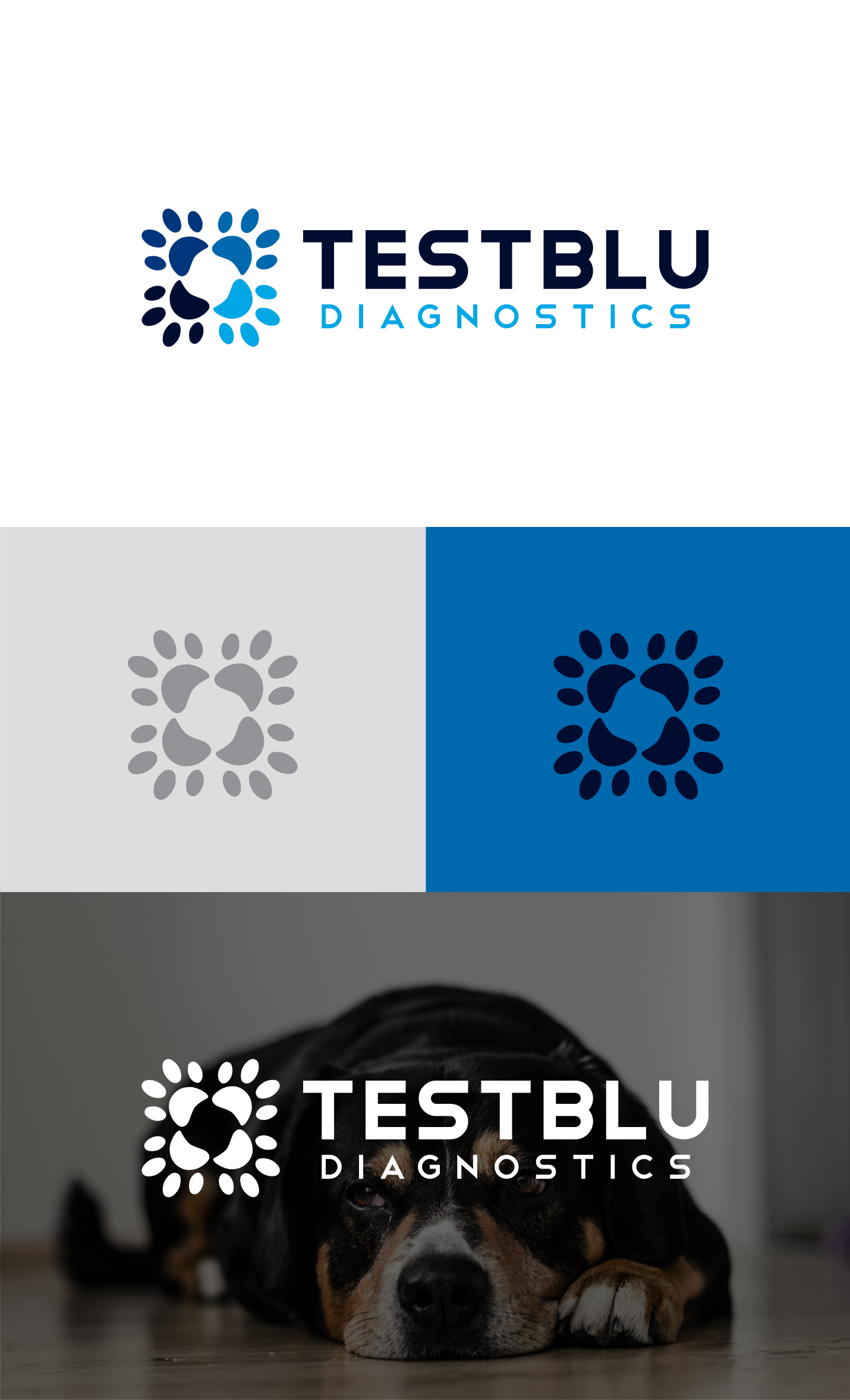 Diseño de Logo por ICKE para este proyecto | Diseño #31106275