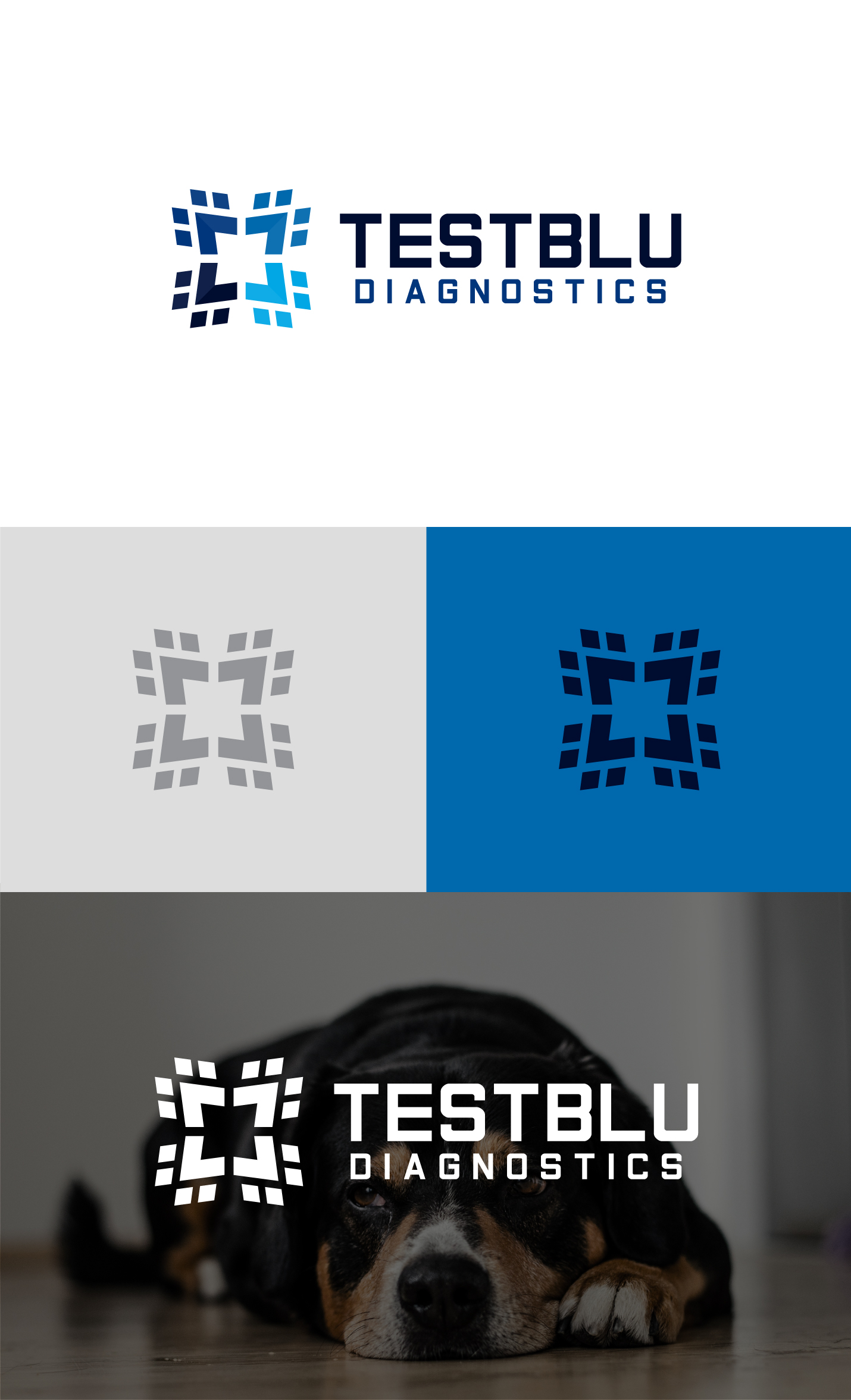 Logo Design by ICKE for this project | Design #31116703