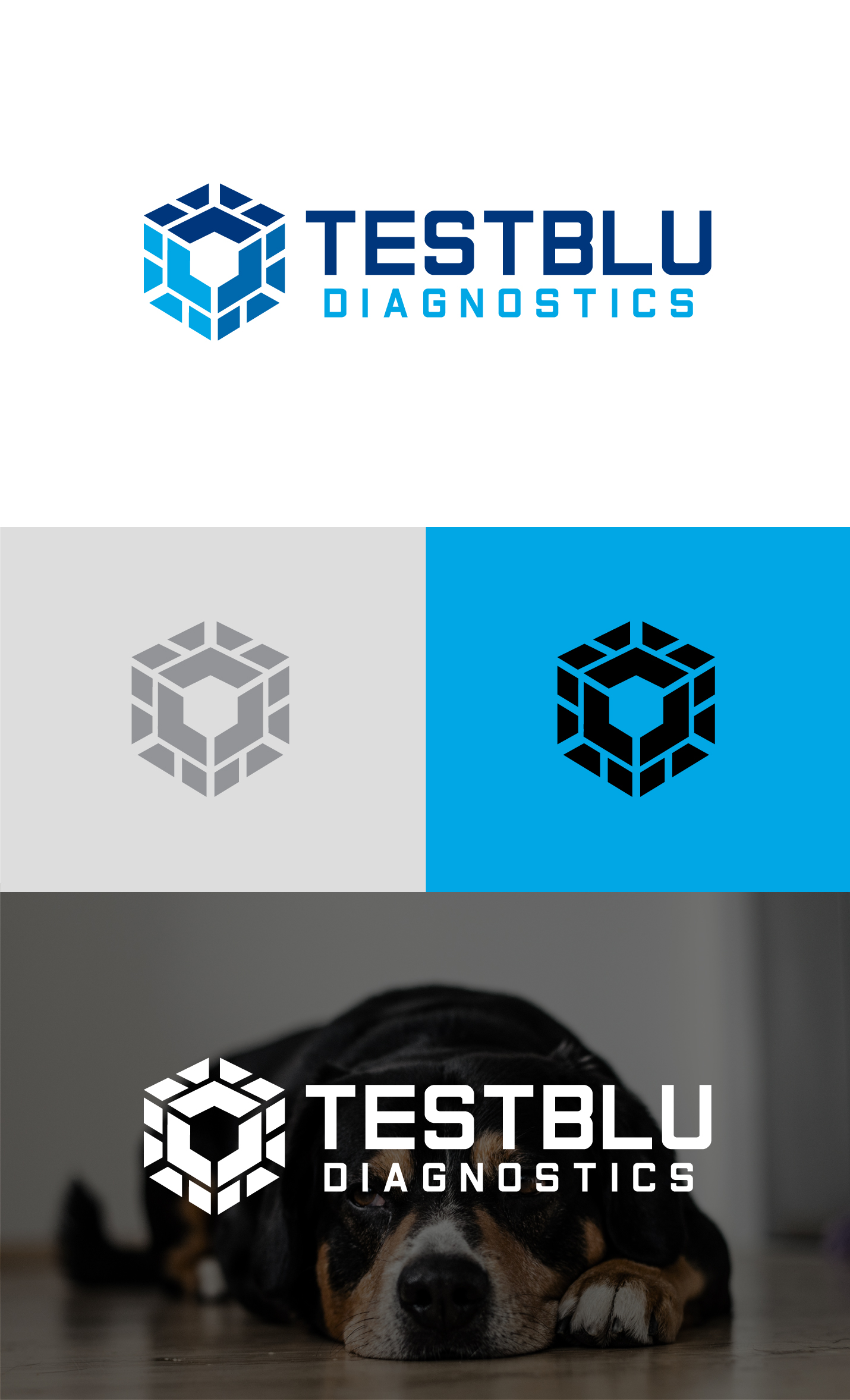 Logo Design by ICKE for this project | Design #31117223