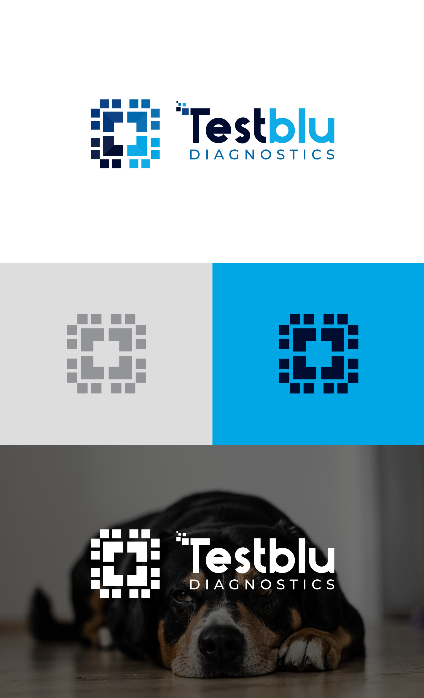 Logo Design by ICKE for this project | Design #31123332