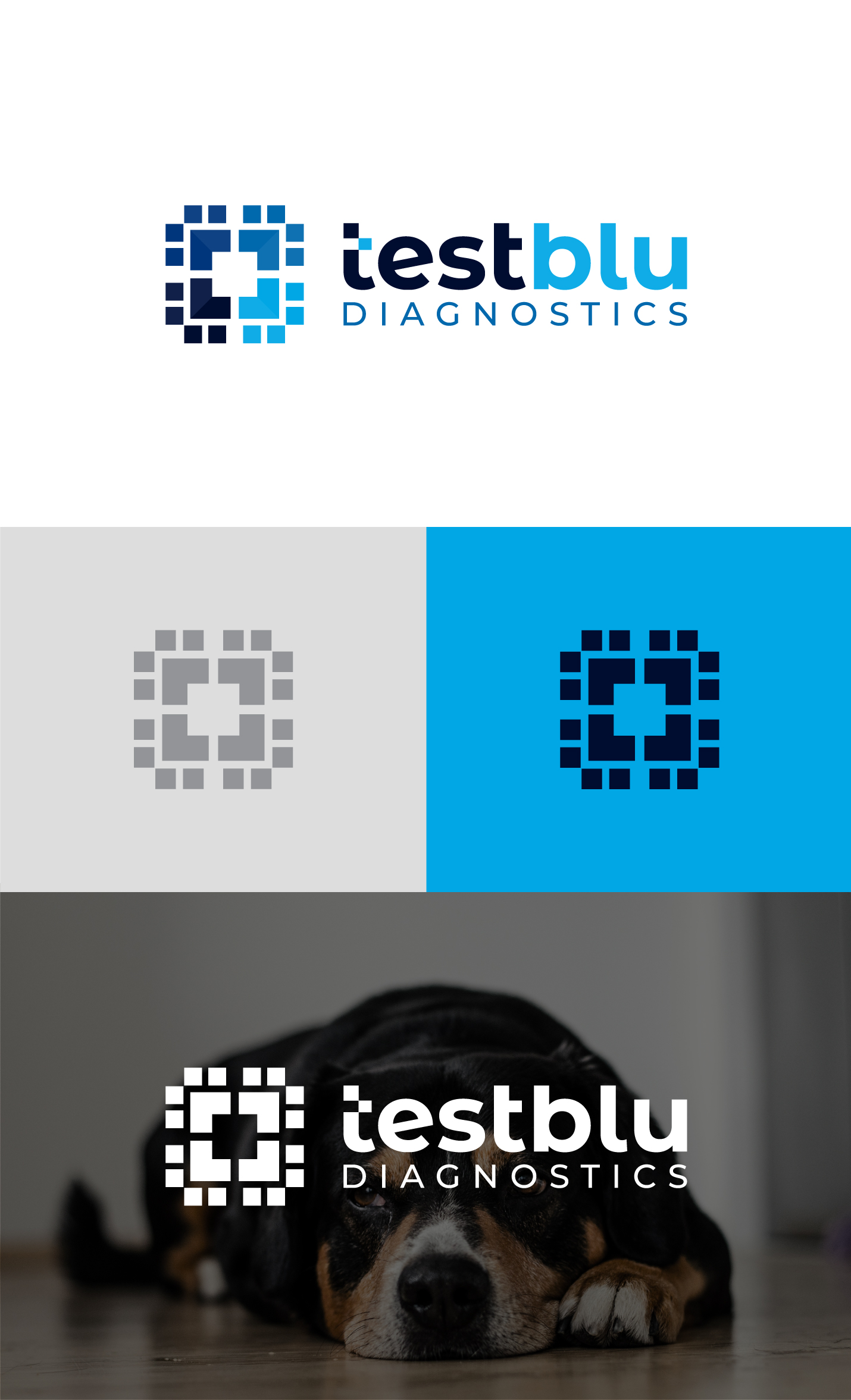 Logo Design by ICKE for this project | Design #31123333