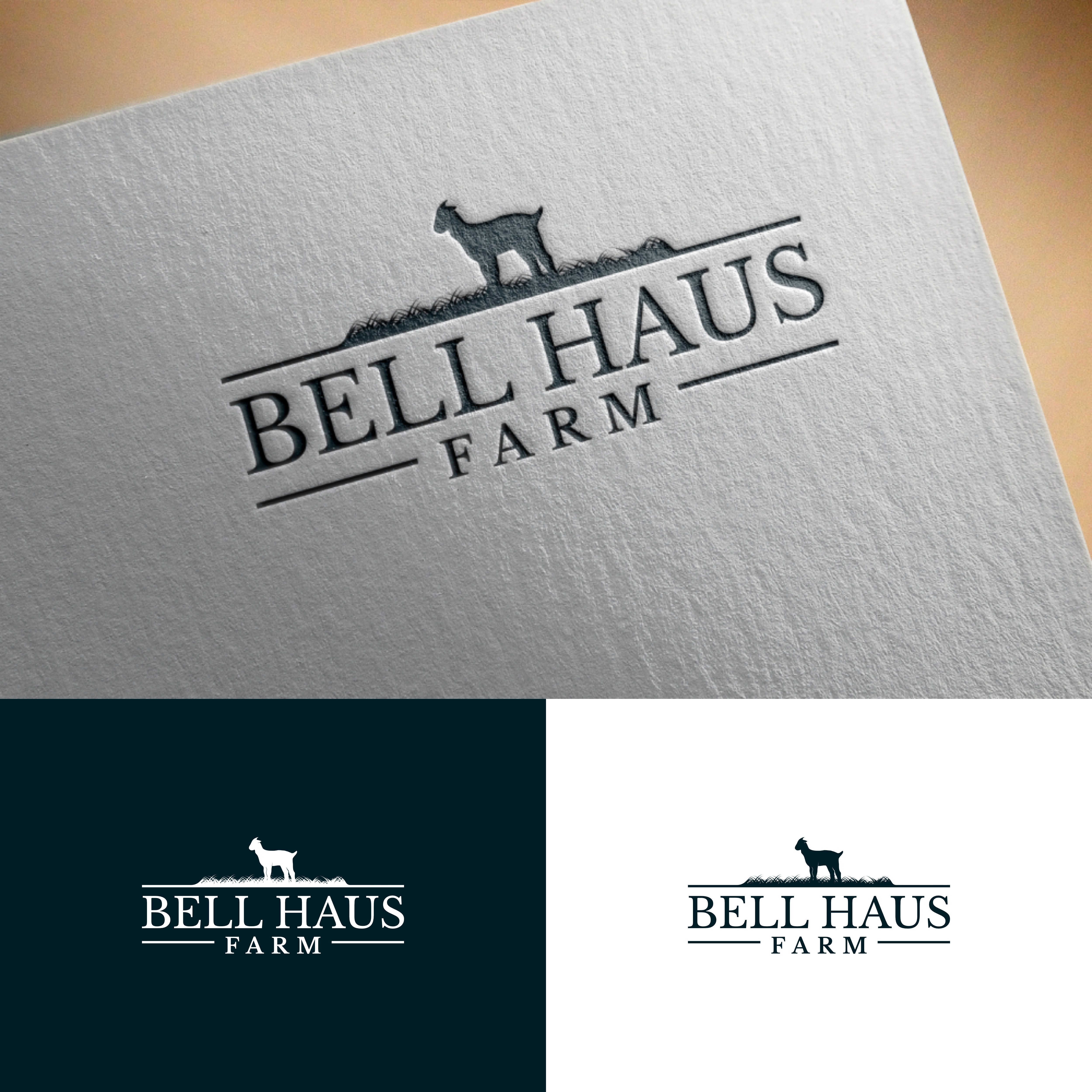 Design de Logo par FerouFYN pour ce projet | Design #31137749