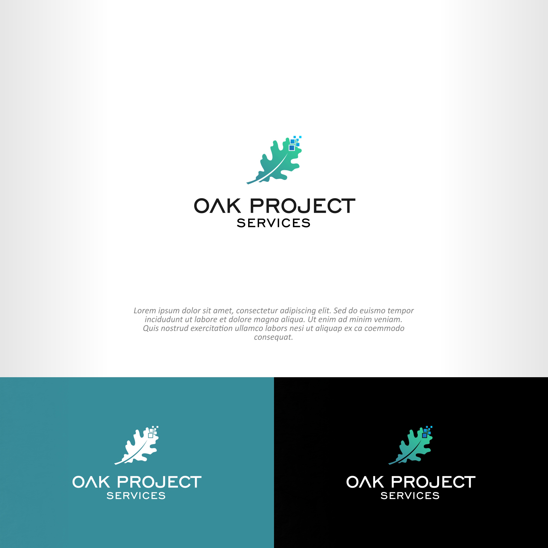 Logo Design by Abici for this project | Design #31100917