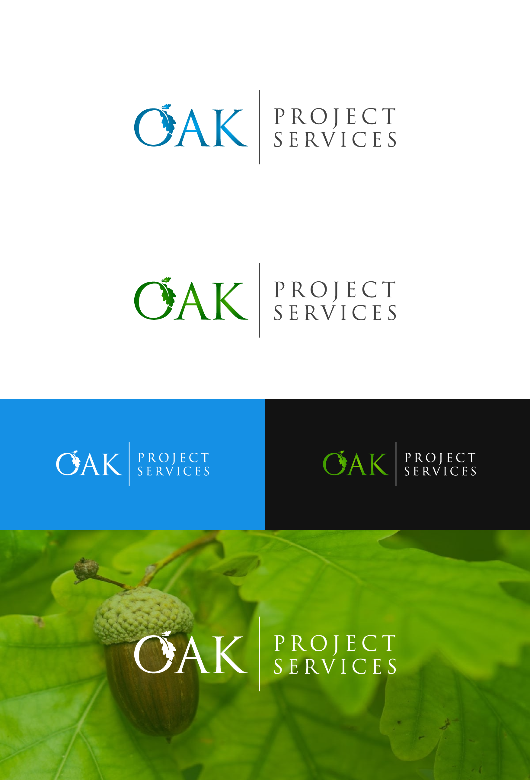 Logo Design by ashantha for this project | Design #31134910