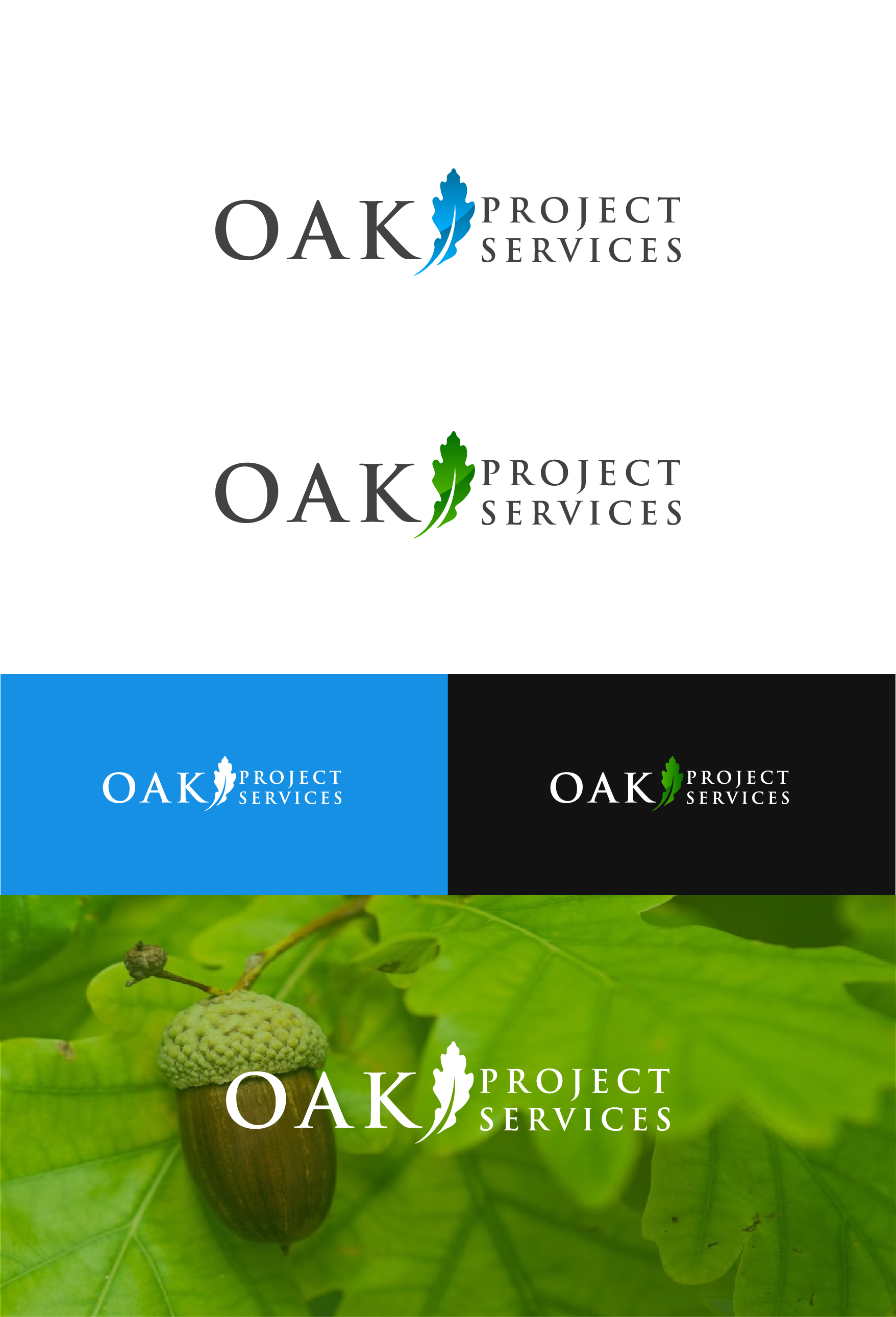 Logo Design by ashantha for this project | Design #31134914