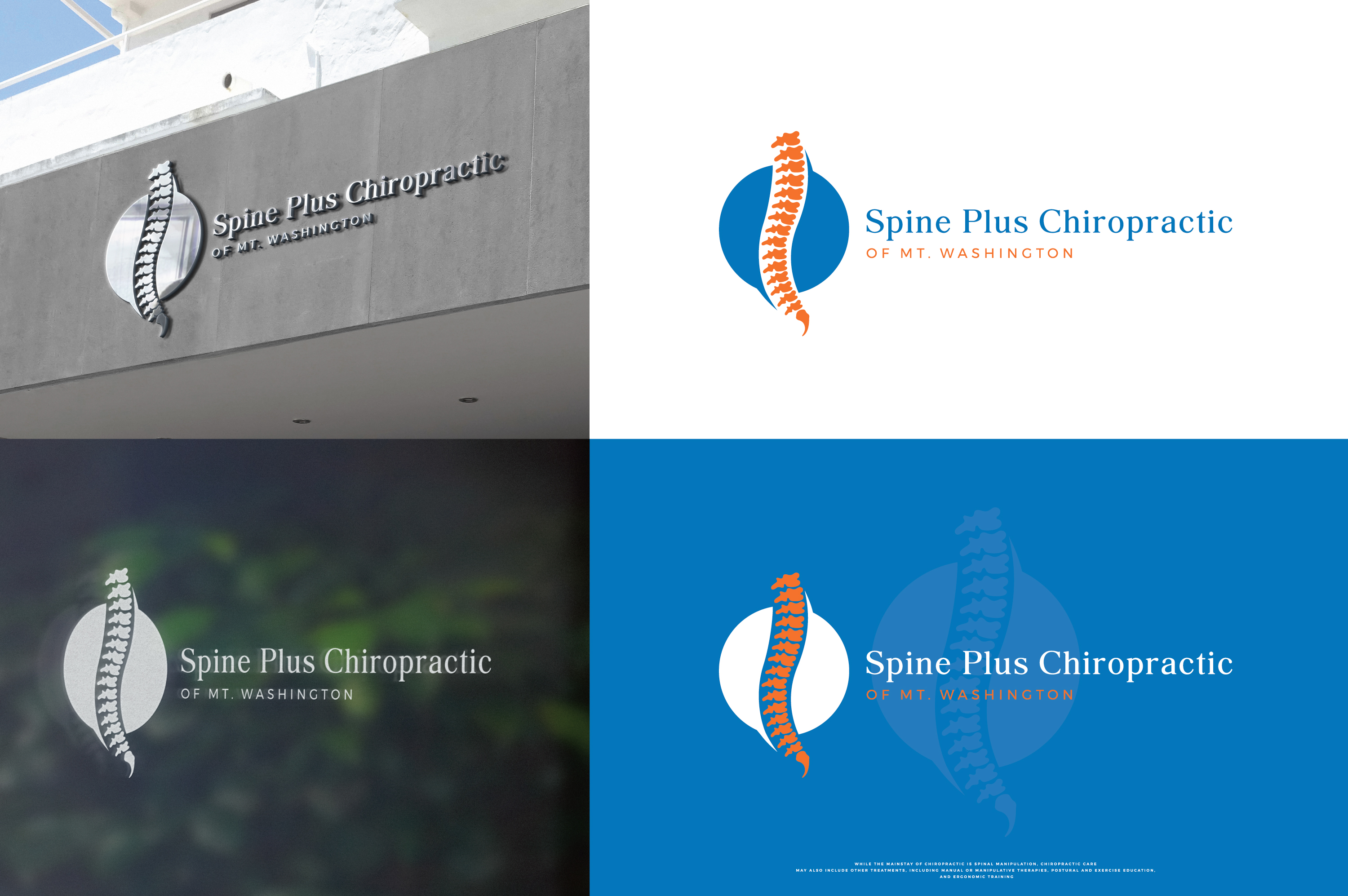 Diseño de Logo por ChicGraphix para este proyecto | Diseño #31100356