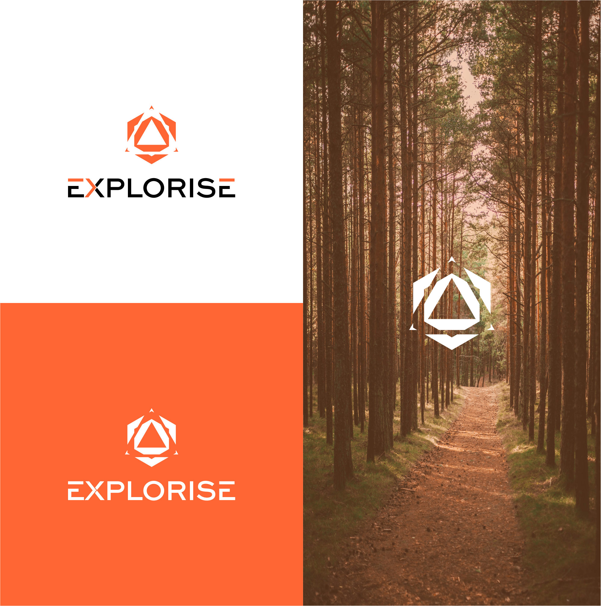 Logo-Design von Barokahe guse für Explorise | Design #31113719