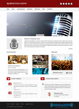 Wordpress Design by pb for Hygio LLC | Design: #3100411