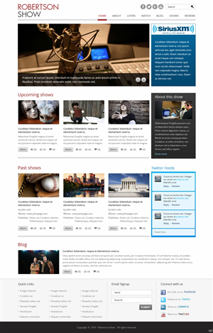 Wordpress Design by pb for Hygio LLC | Design: #3100437