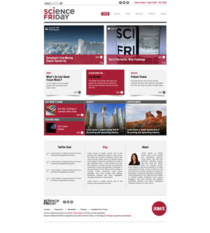Wordpress Design by Black Stallions Impressive Solutions for Hygio LLC | Design #3115293