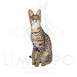 Logo Design by Artonem for this project | Design: #31128353
