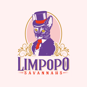 Logo Design by MagicArt Pix