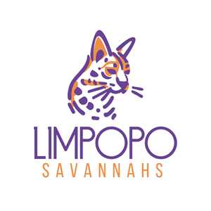 Logo Design by {mega- for this project | Design: #31117289