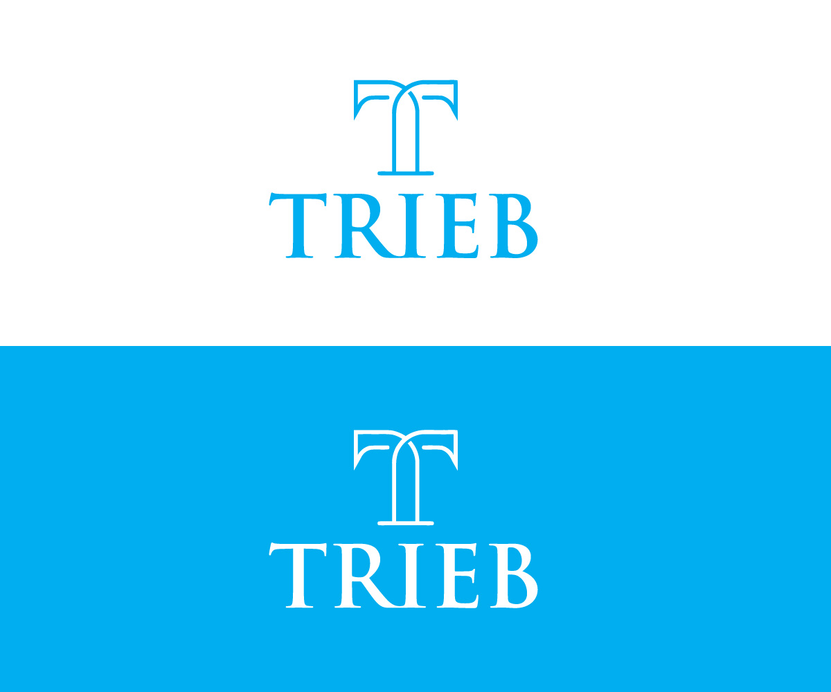 Logo Design by nadim420 for this project | Design #31129394