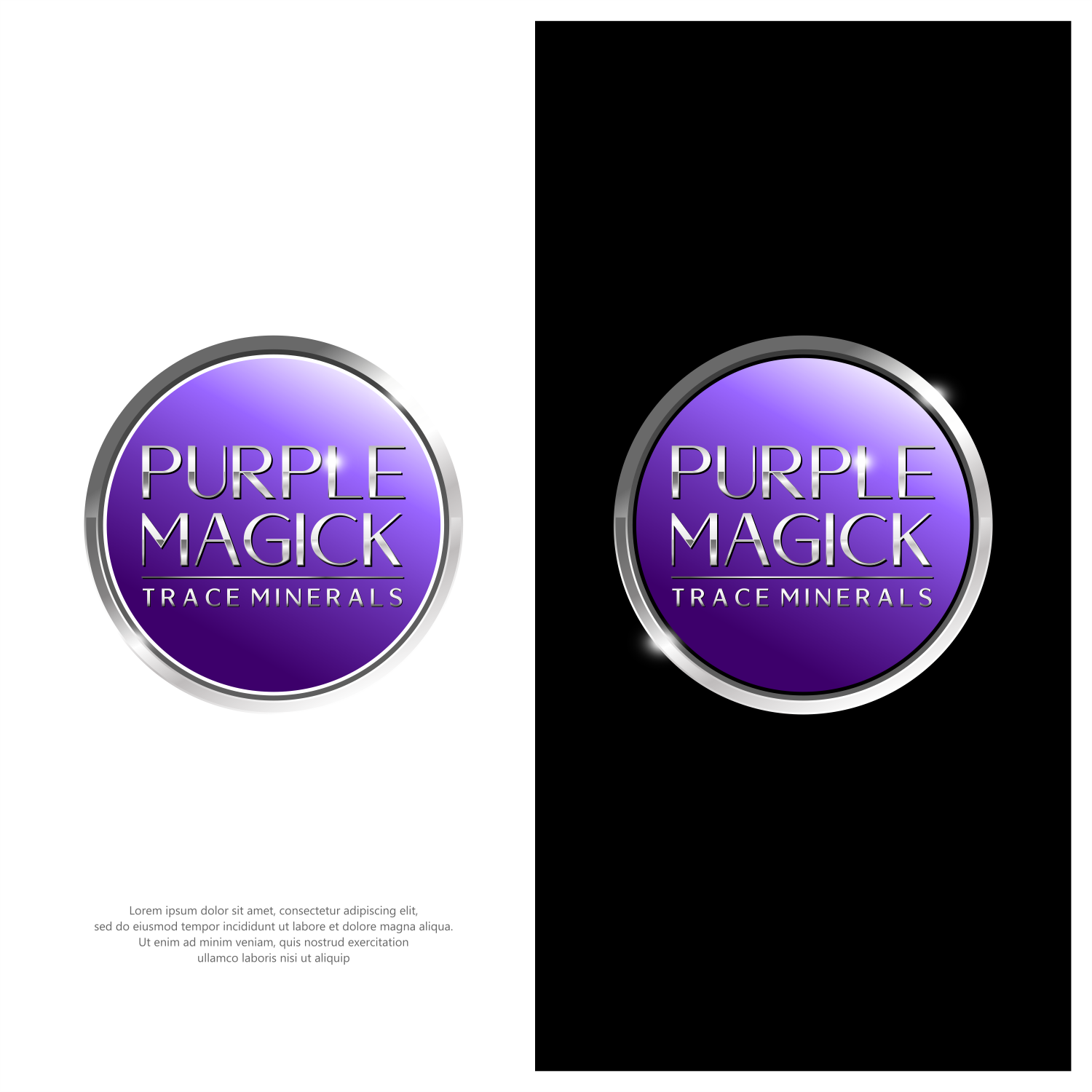 Design de Logo par ThiagoB pour EE Systems  | Design #31134655