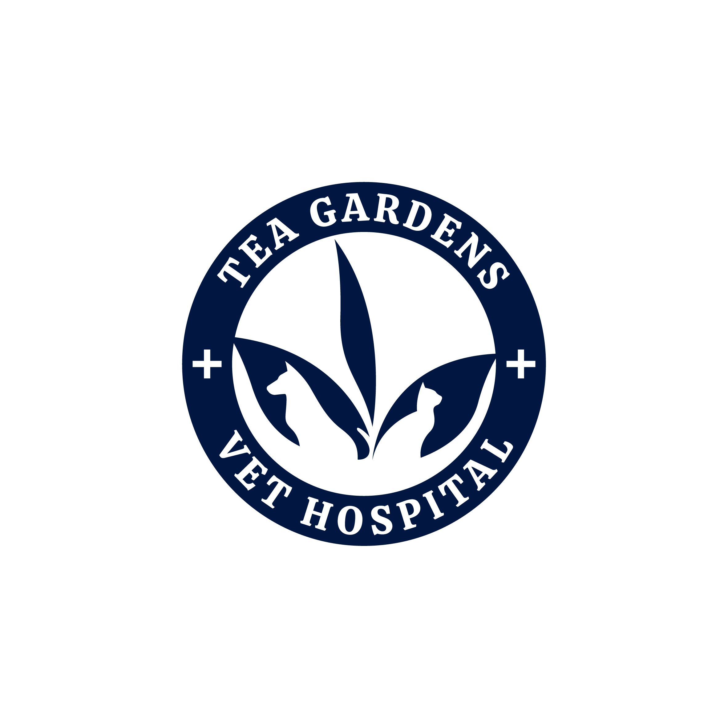 Diseño de Logo por Aljune Castro Designs para este proyecto | Diseño #31131523