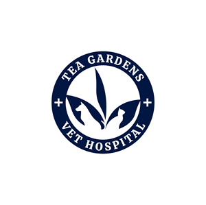 Logo Design by Aljune Castro Designs for this project | Design: #31131523