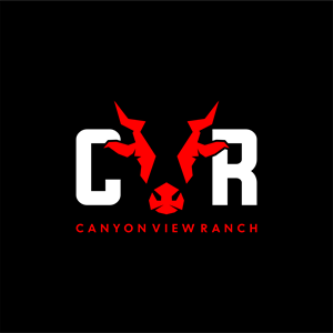 Design de Logo par DoppelGanger Studio pour ce projet | Design : #31136887
