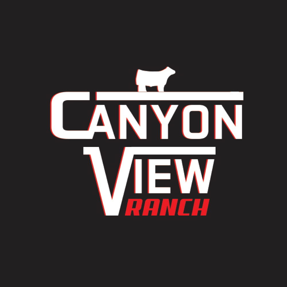 Logo Design by AlexMorisseau for this project | Design #31134424