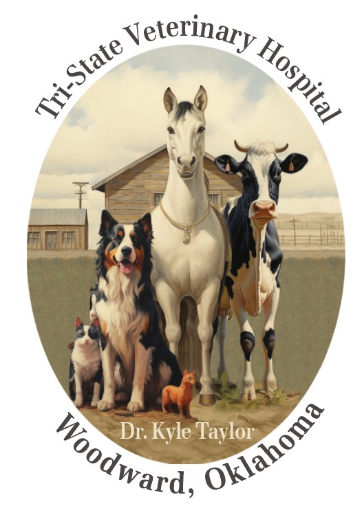 Design de T-shirt par Martian_Attack pour ce projet | Design #31135686