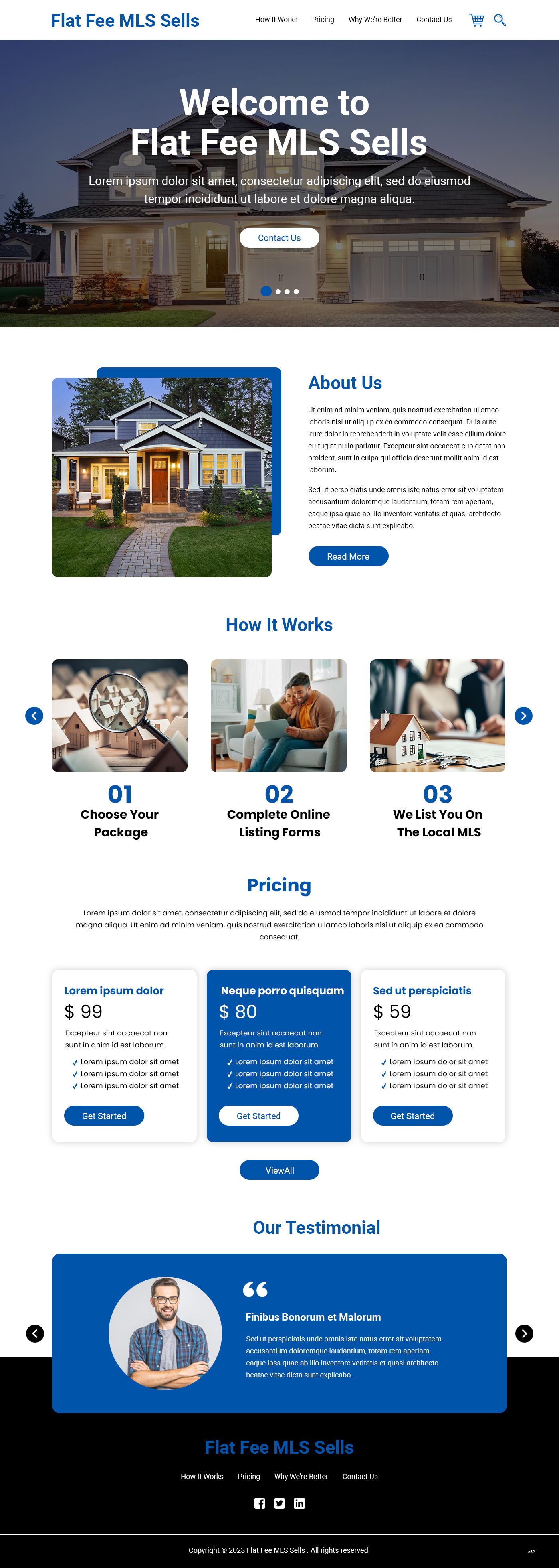Design de Page d'Accueil par pb pour ce projet | Design #31147329