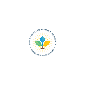 Logo-Design von Jerwin Intac für dieses Projekt | Design: #31142705