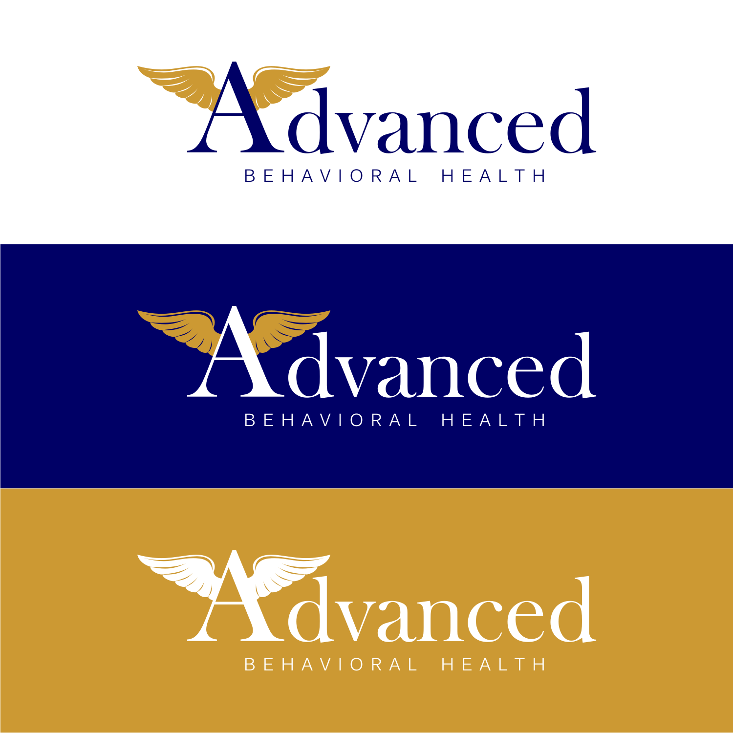 Logo Design by R16 for this project | Design #31145871