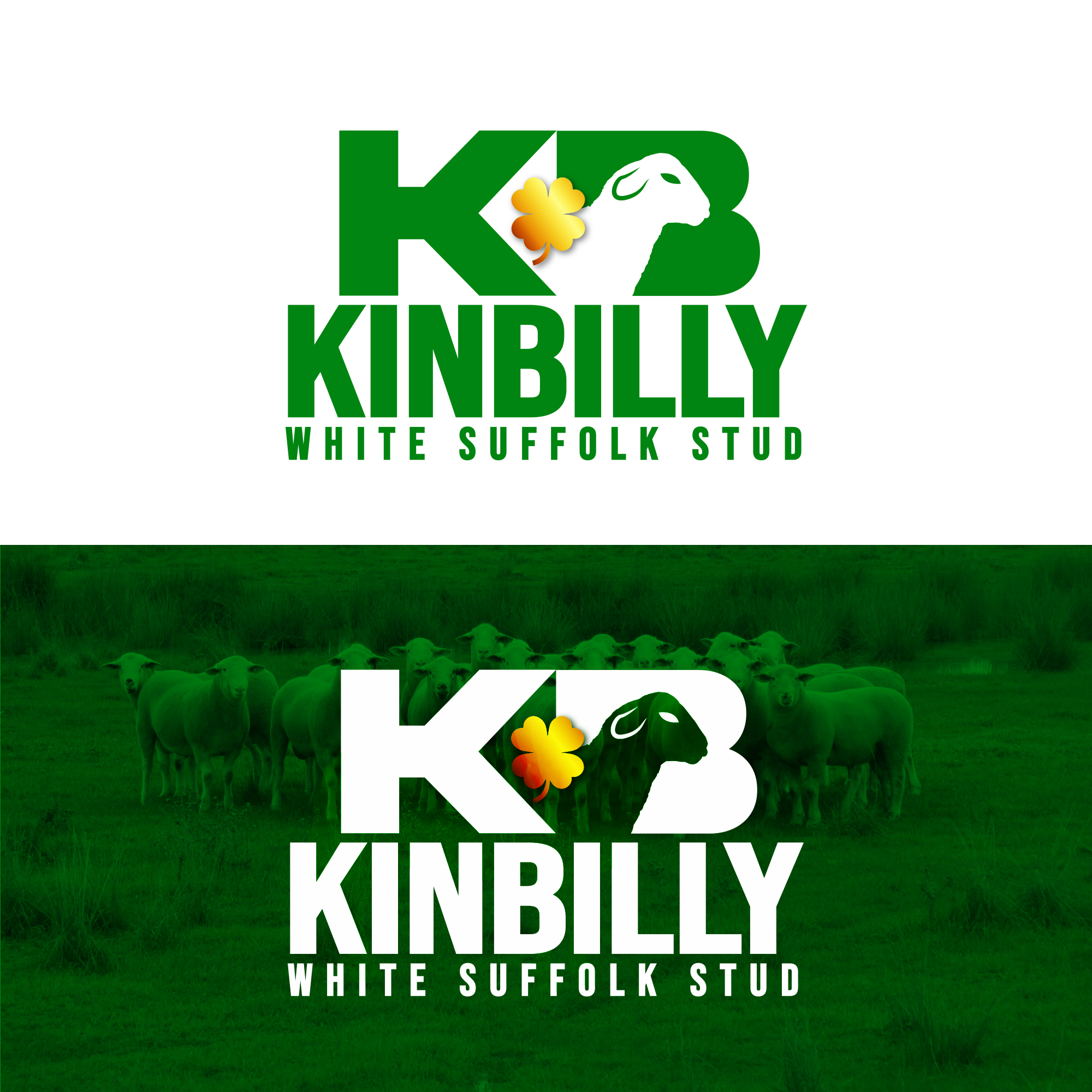 Logo Design by DSCMedia™ for this project | Design #31186769